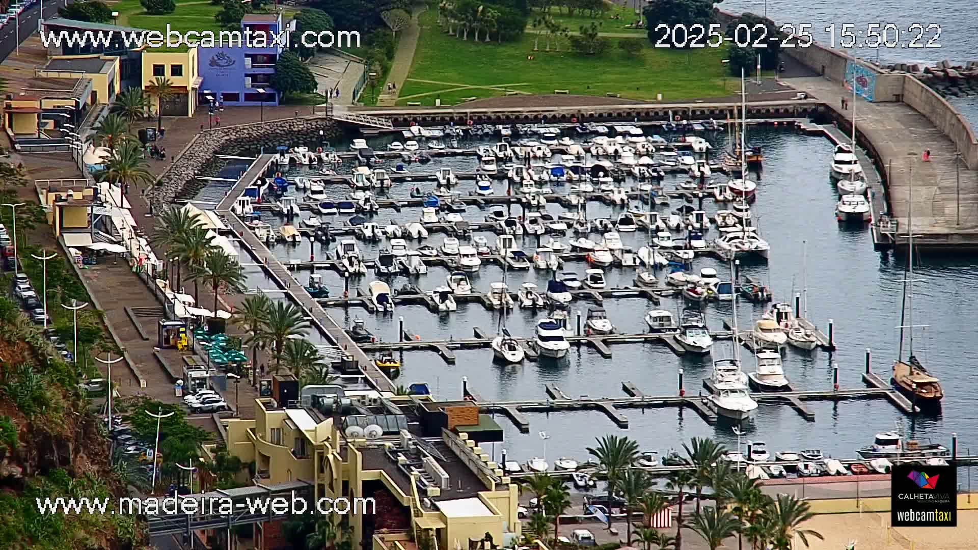An aerial view of a marina filled with numerous boats on a calm, overcast day, surrounded by buildings and palm trees.