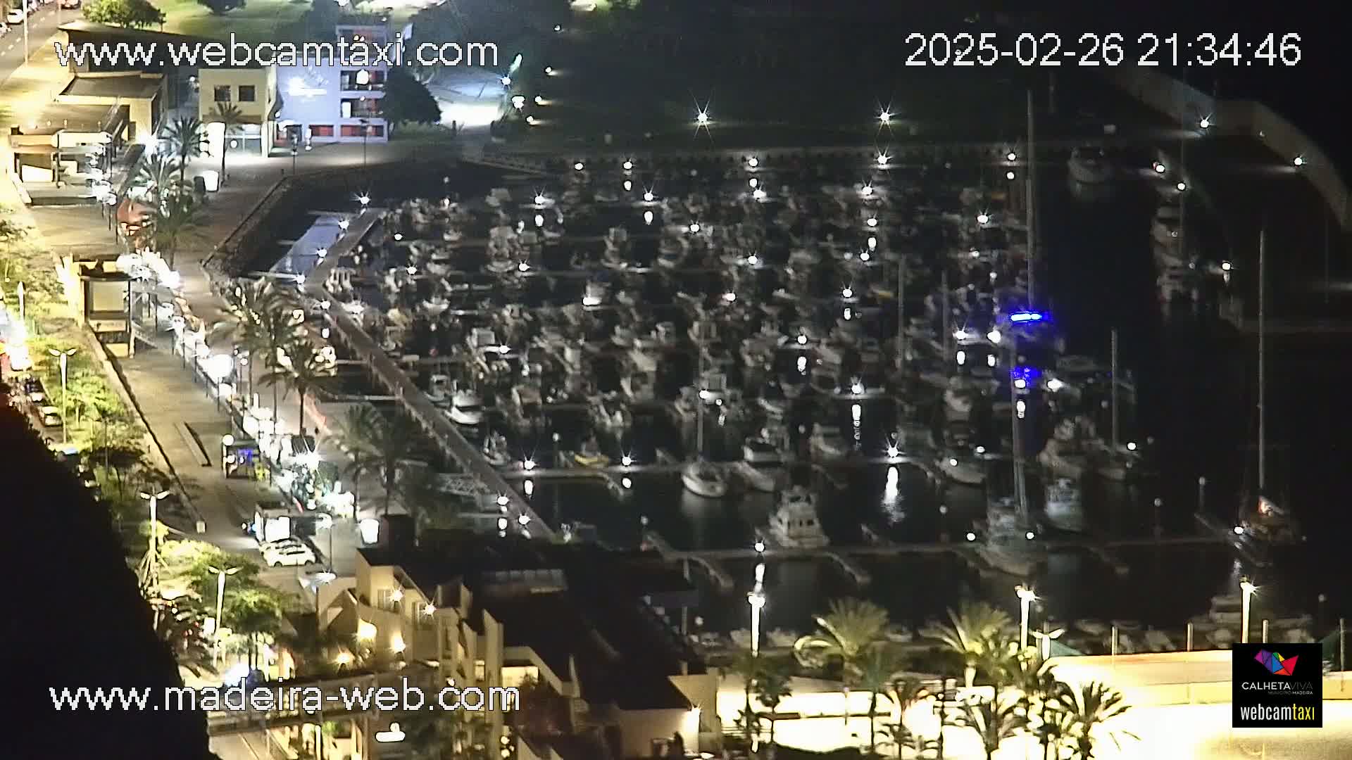 A nighttime aerial view of a marina filled with numerous boats, adjacent to a roadway with buildings and palm trees.