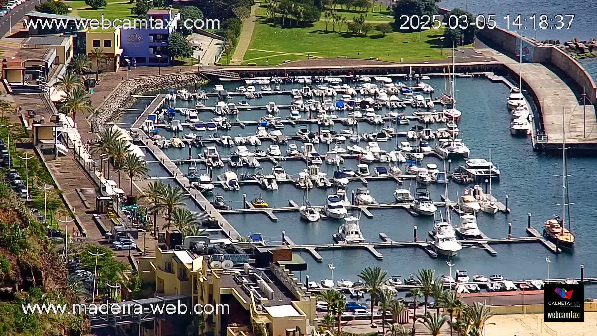 A marina filled with numerous boats and yachts on a sunny day, next to a paved walkway with palm trees and buildings.