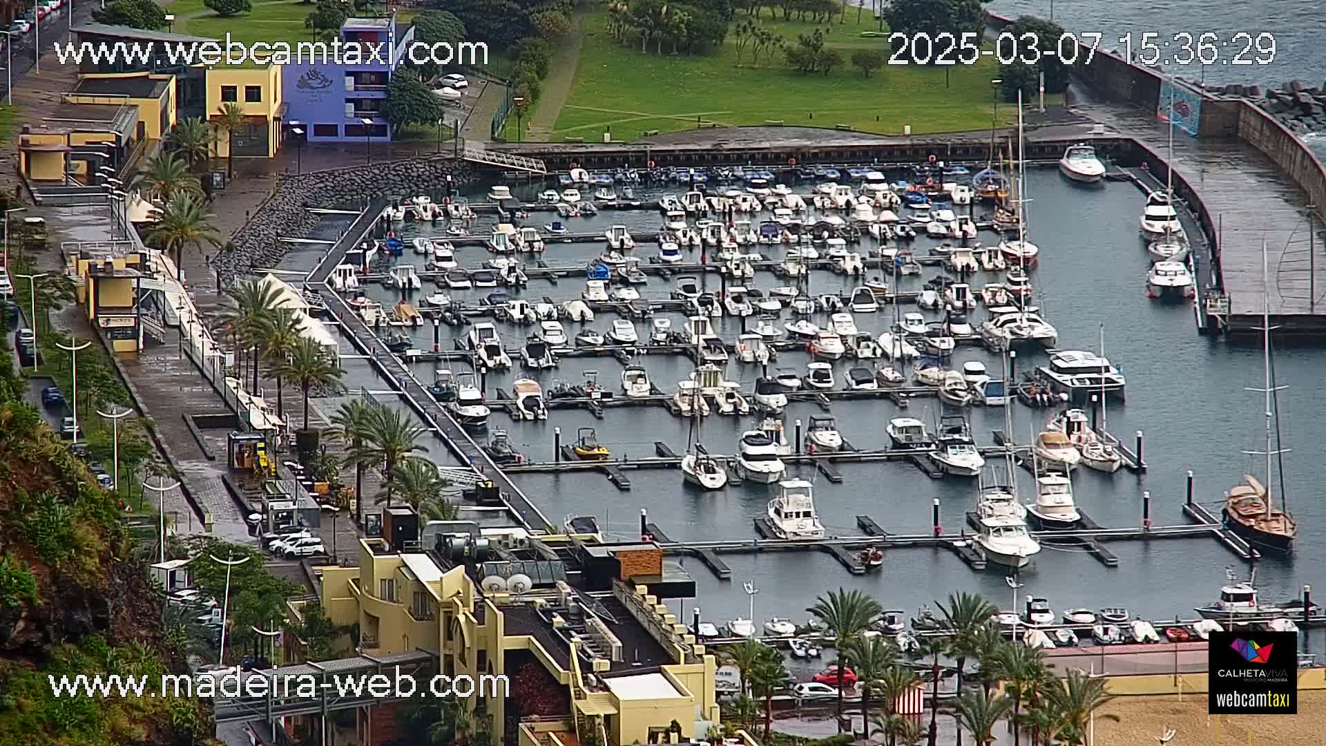 A marina filled with numerous boats is seen on a rainy day, next to a waterfront area with buildings and palm trees.