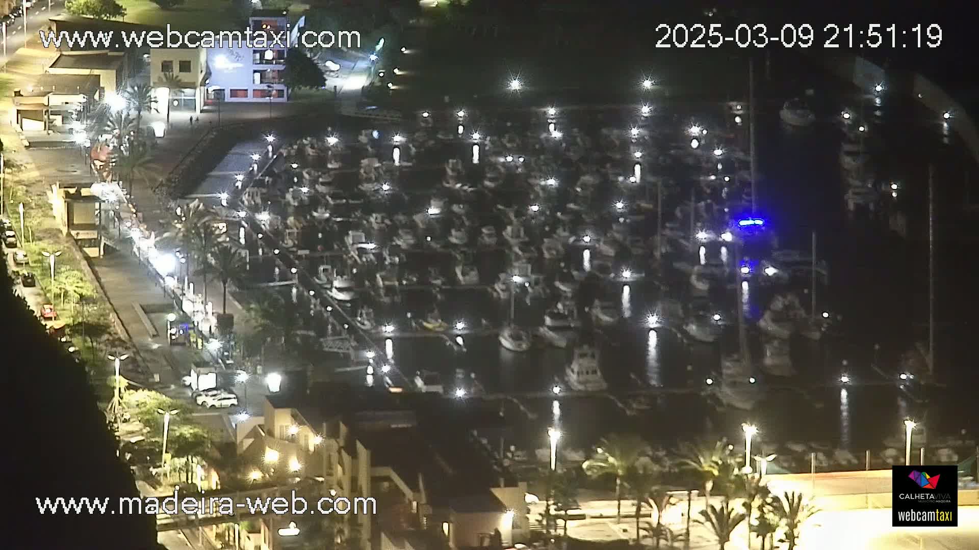 A nighttime aerial view shows a marina filled with many boats, a road with cars, and buildings along a shoreline.