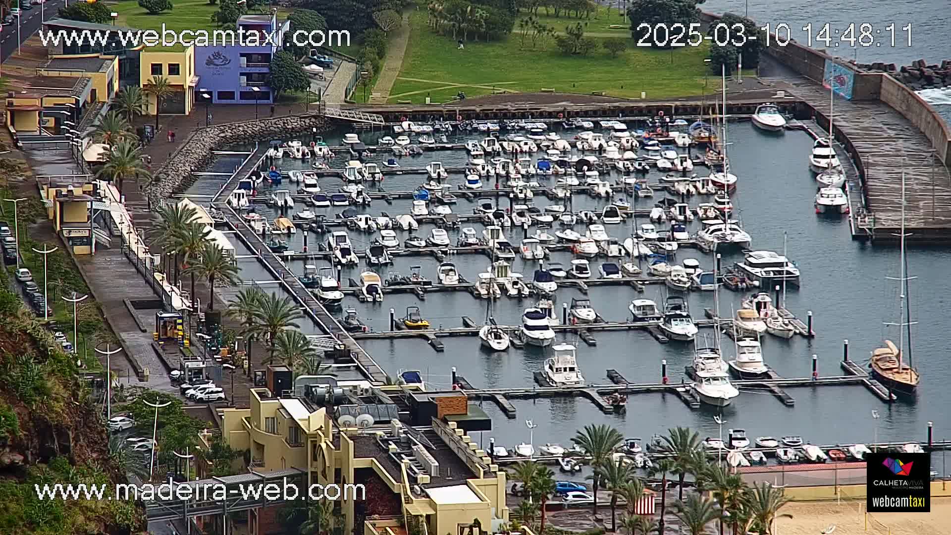 A marina filled with numerous boats is shown on an overcast day, adjacent to a walkway and buildings.