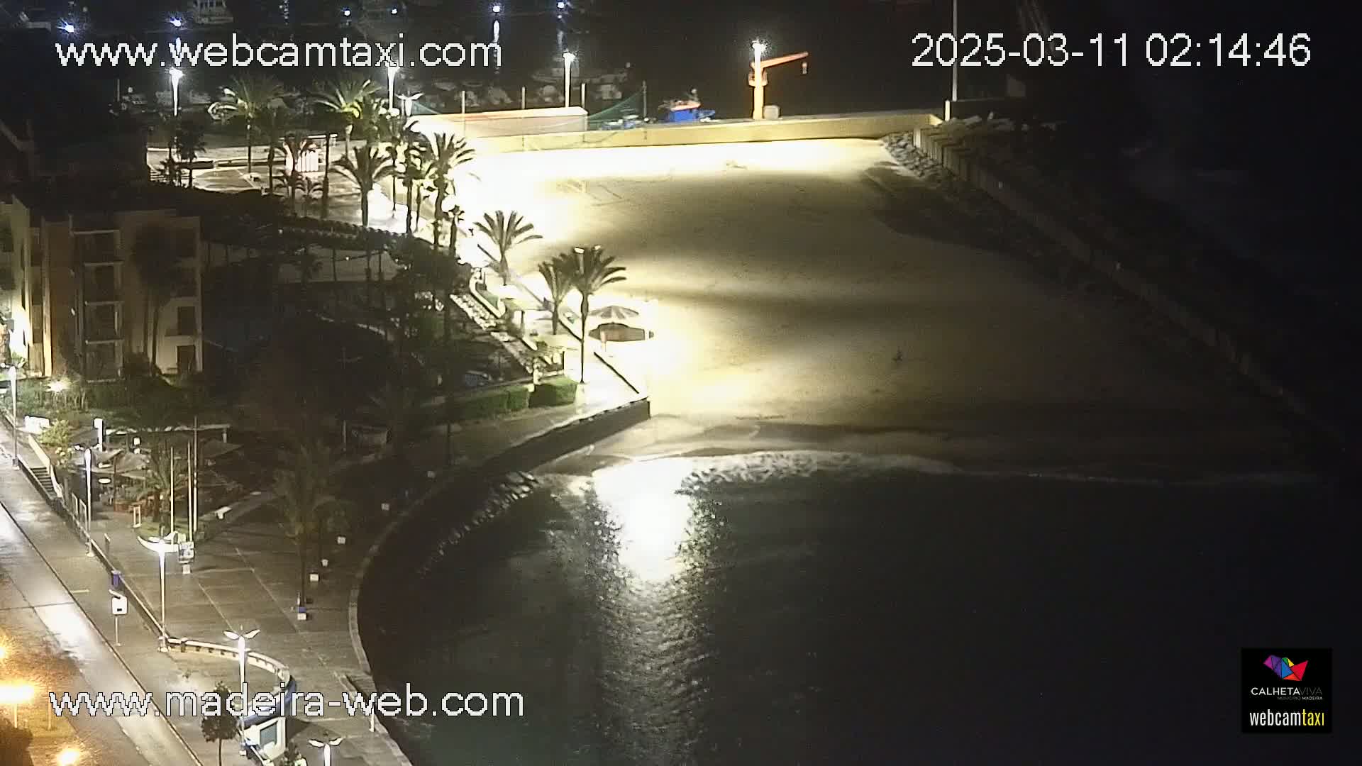 A nighttime, overhead view of a mostly empty sandy beach next to a building and palm trees, with calm waves lapping the shore under artificial lighting.
