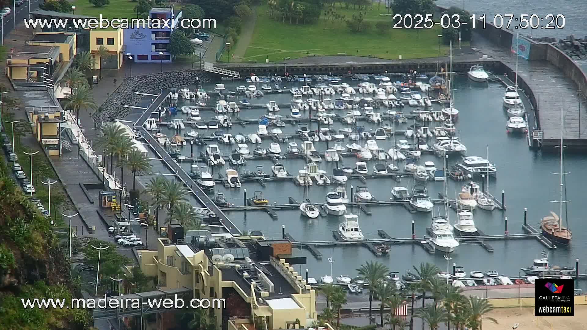 A marina filled with numerous boats is seen from an elevated viewpoint on a wet, overcast day.