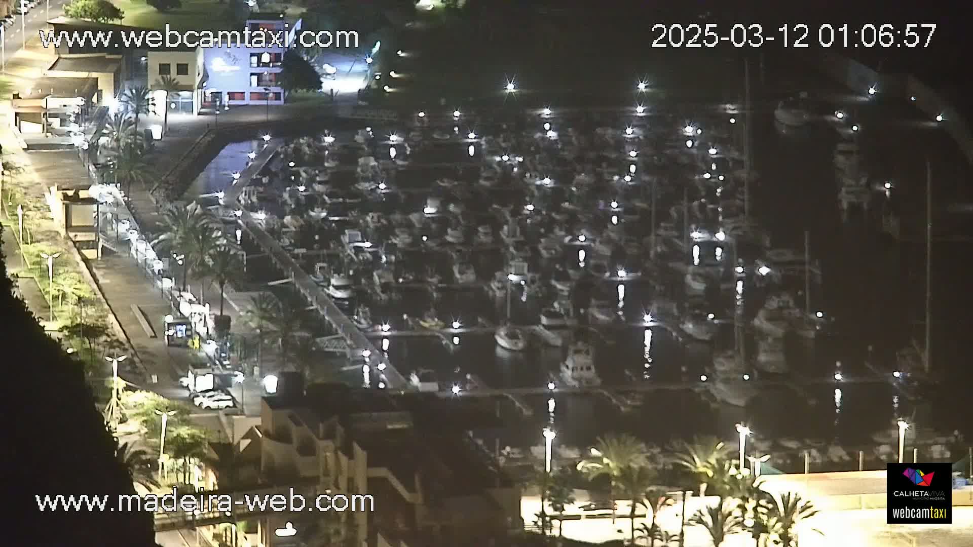 A nighttime aerial view shows a marina filled with numerous boats illuminated by lights, surrounded by buildings and palm trees.