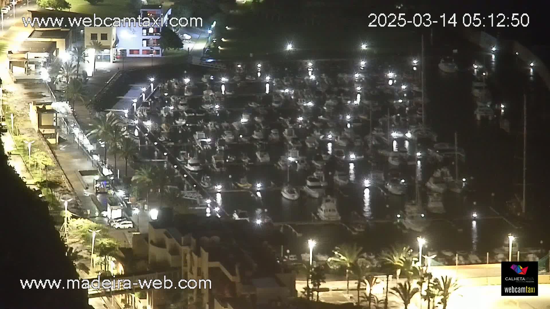 A nighttime aerial view shows a marina filled with many boats, illuminated by lights, next to a roadway with some vehicles and palm trees.