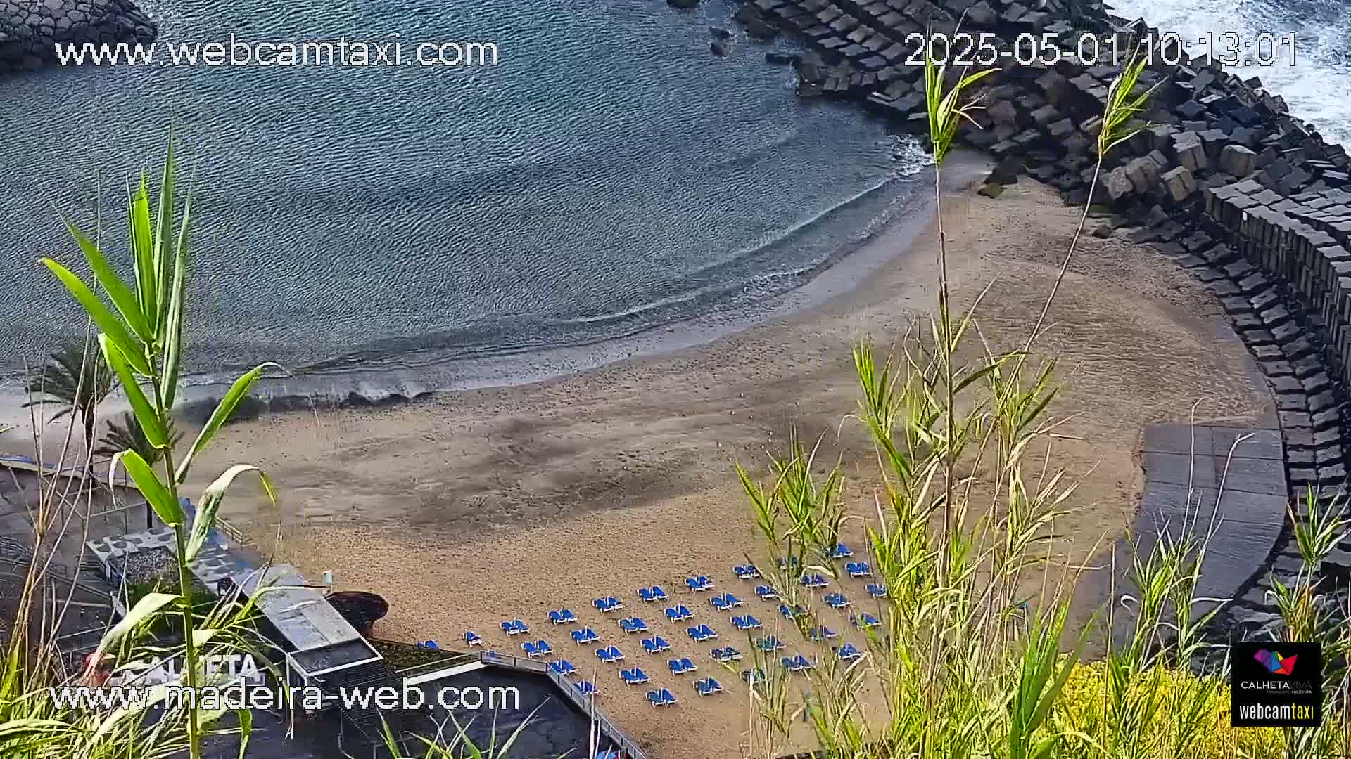 An aerial view shows a sandy beach with rows of empty lounge chairs next to calm, blue water bordered by a stone wall and tall grasses.
