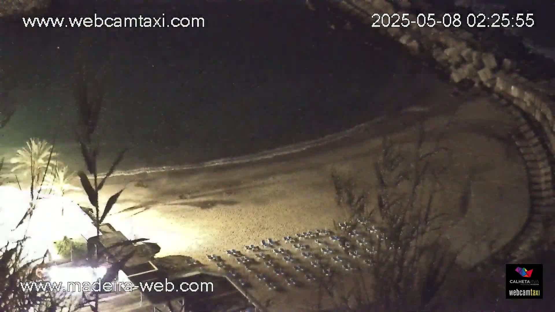 A nighttime, high-angle view of a sandy beach with rows of lounge chairs, palm trees, and gentle waves lapping the shore.
