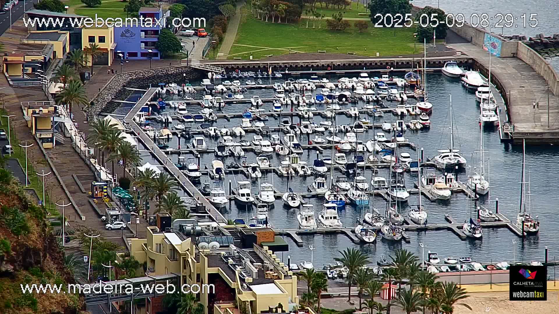 A marina filled with numerous boats and yachts is nestled beside a waterfront area with buildings and palm trees under a partly cloudy sky.