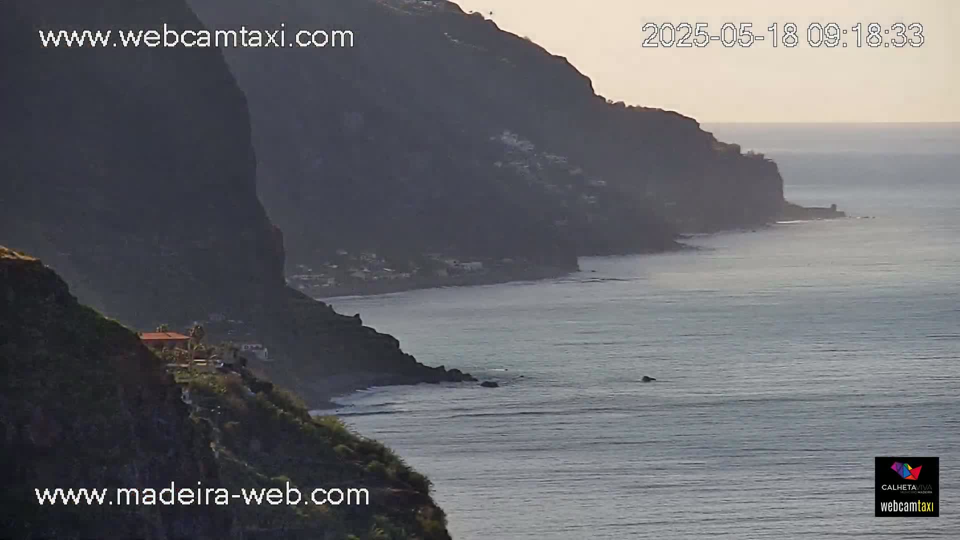 A calm ocean laps against a dark, rocky coastline under a pale sky.