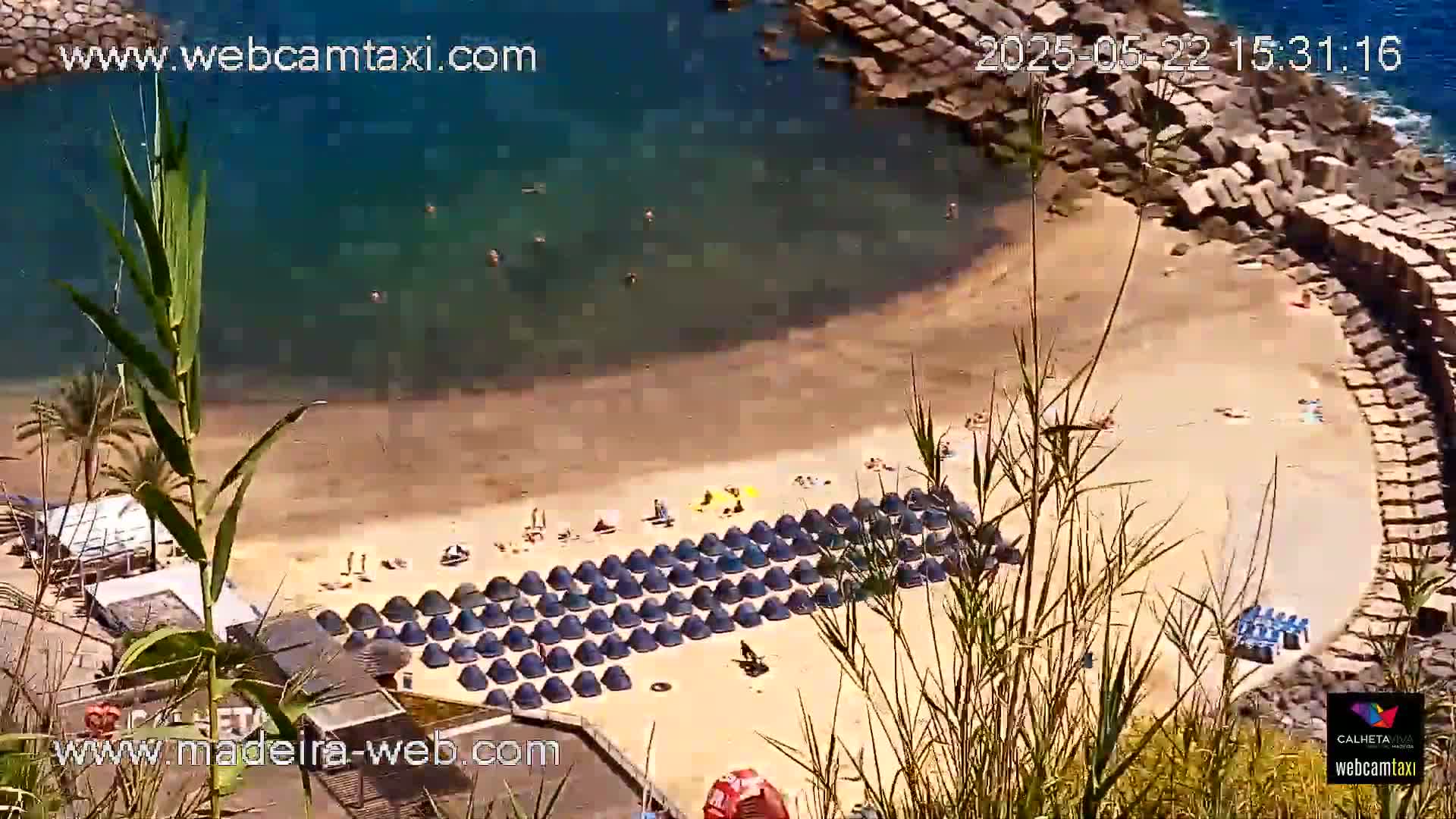 An aerial view shows a sandy beach with numerous dark-blue beach umbrellas and a few people on it, next to a calm, clear blue ocean on a sunny day.