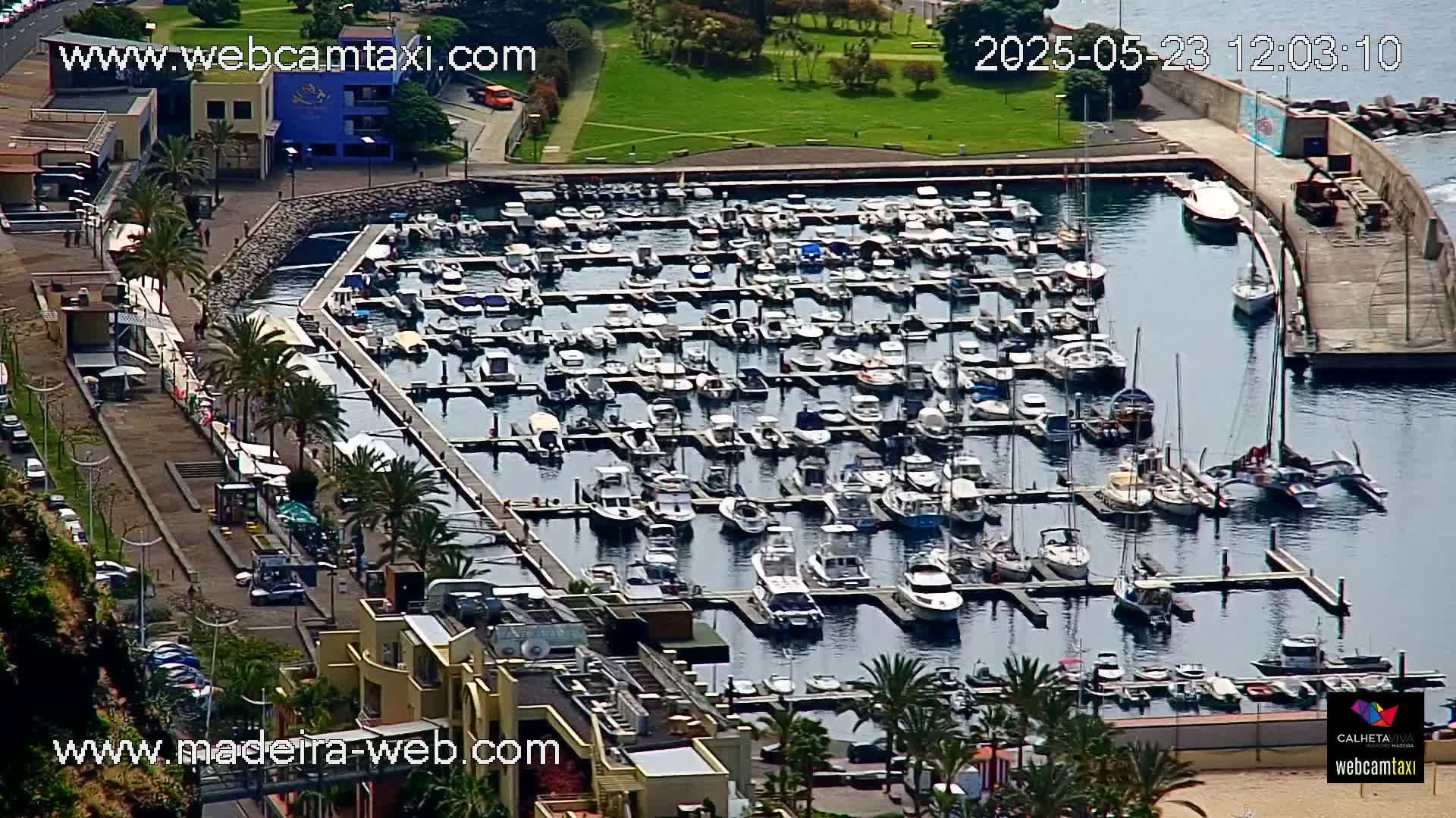 A marina filled with numerous boats is seen from an aerial perspective on a sunny day.
