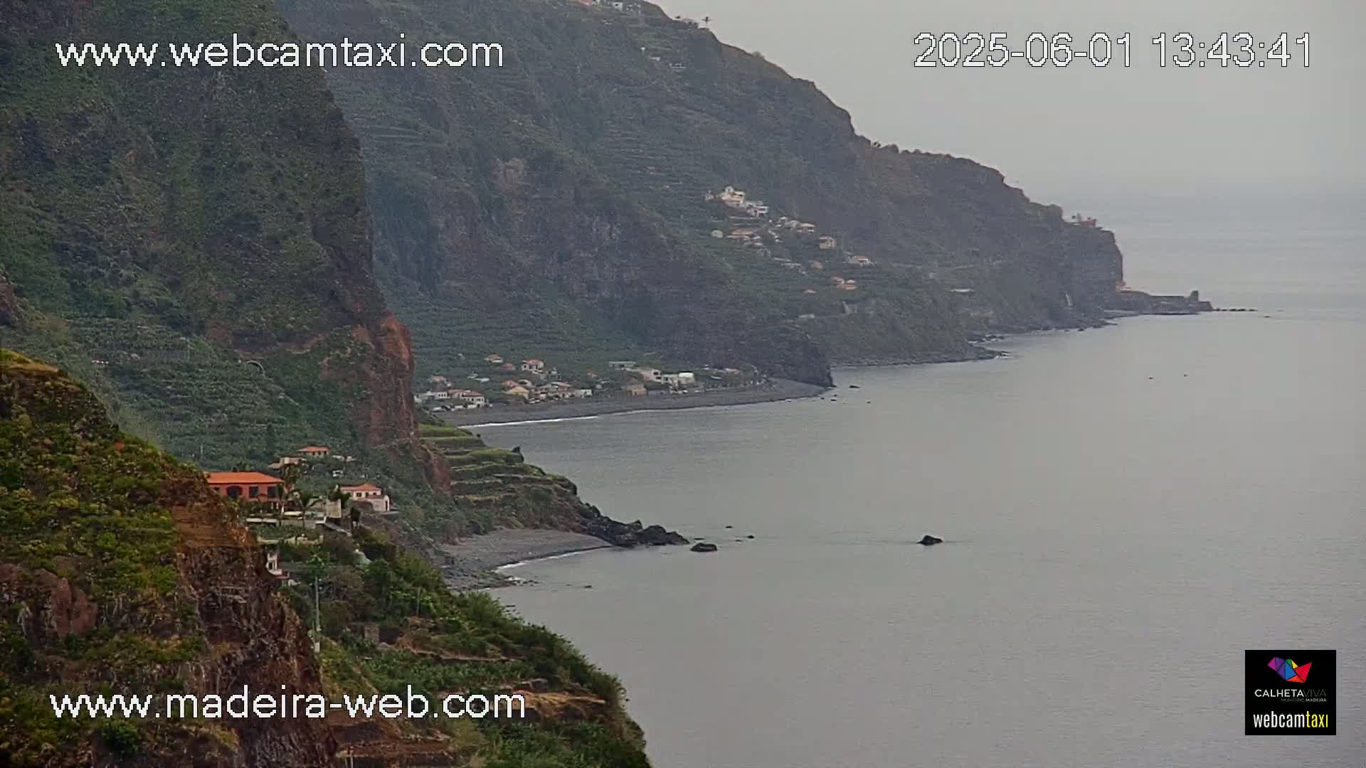A coastal village nestled on a steep, verdant cliffside overlooking a calm, gray ocean under an overcast sky.