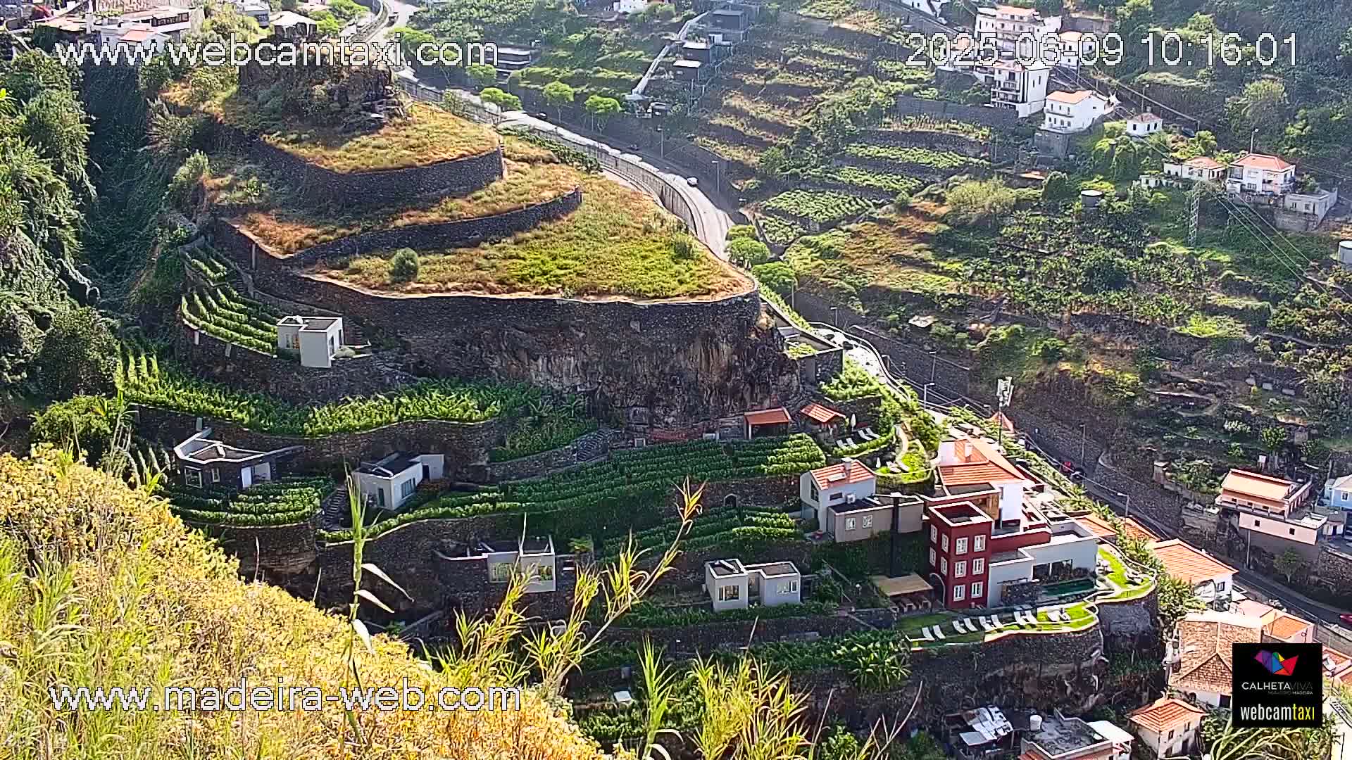 A hillside village with terraced vineyards and houses overlooks a winding road on a sunny day.