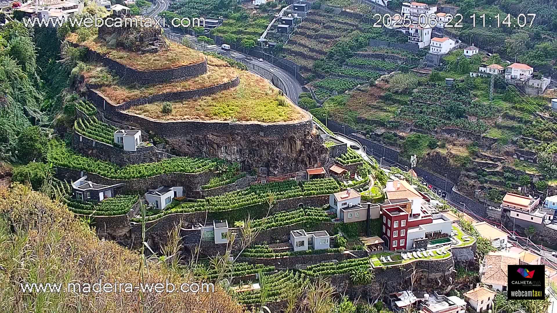 A high-angle view shows terraced vineyards and houses built into a steep hillside, with a road curving through the landscape on a sunny day.