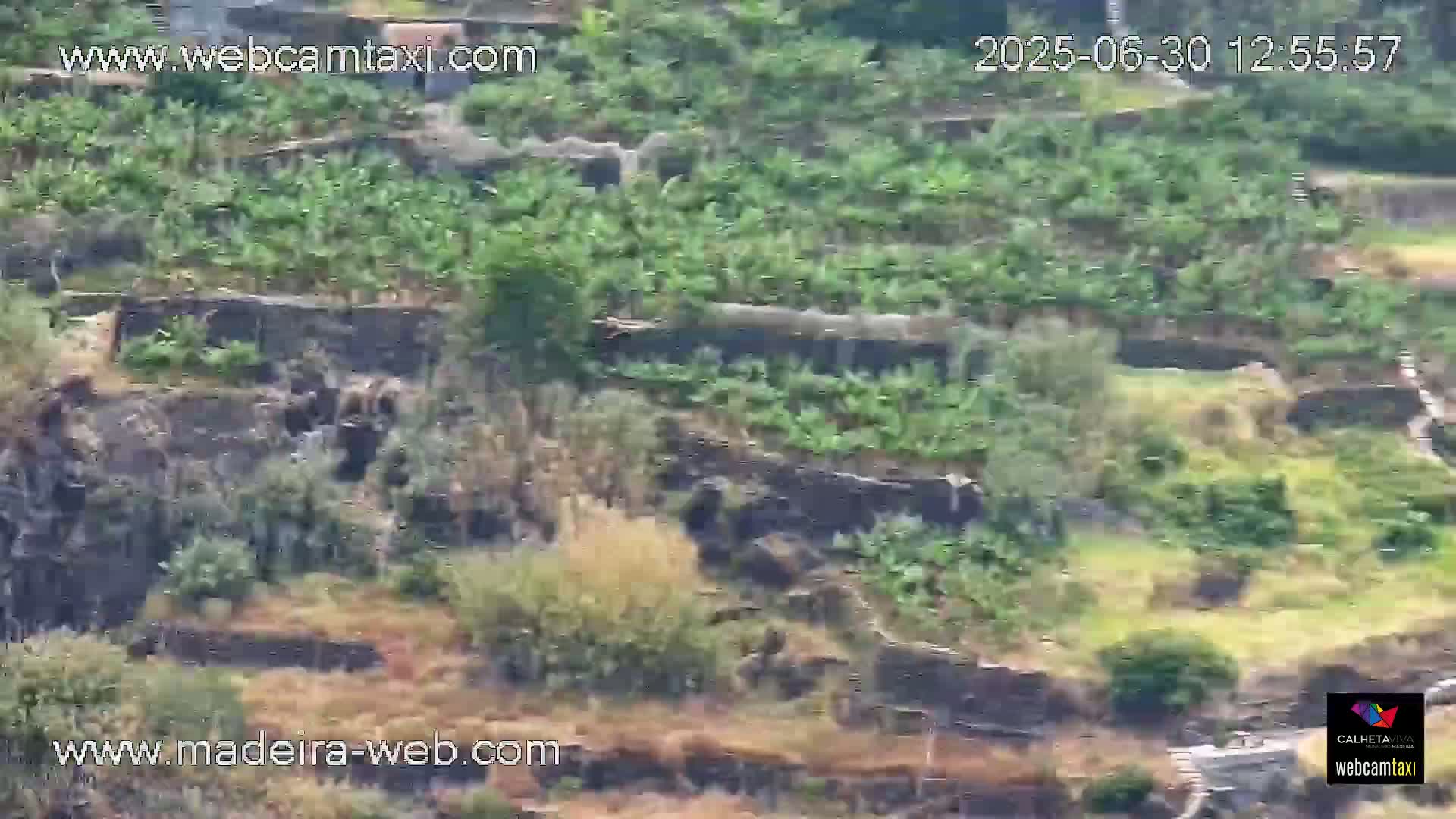 Calheta City & Coast Skyline PTZ Live Cam – Calheta, Madeira, Portugal