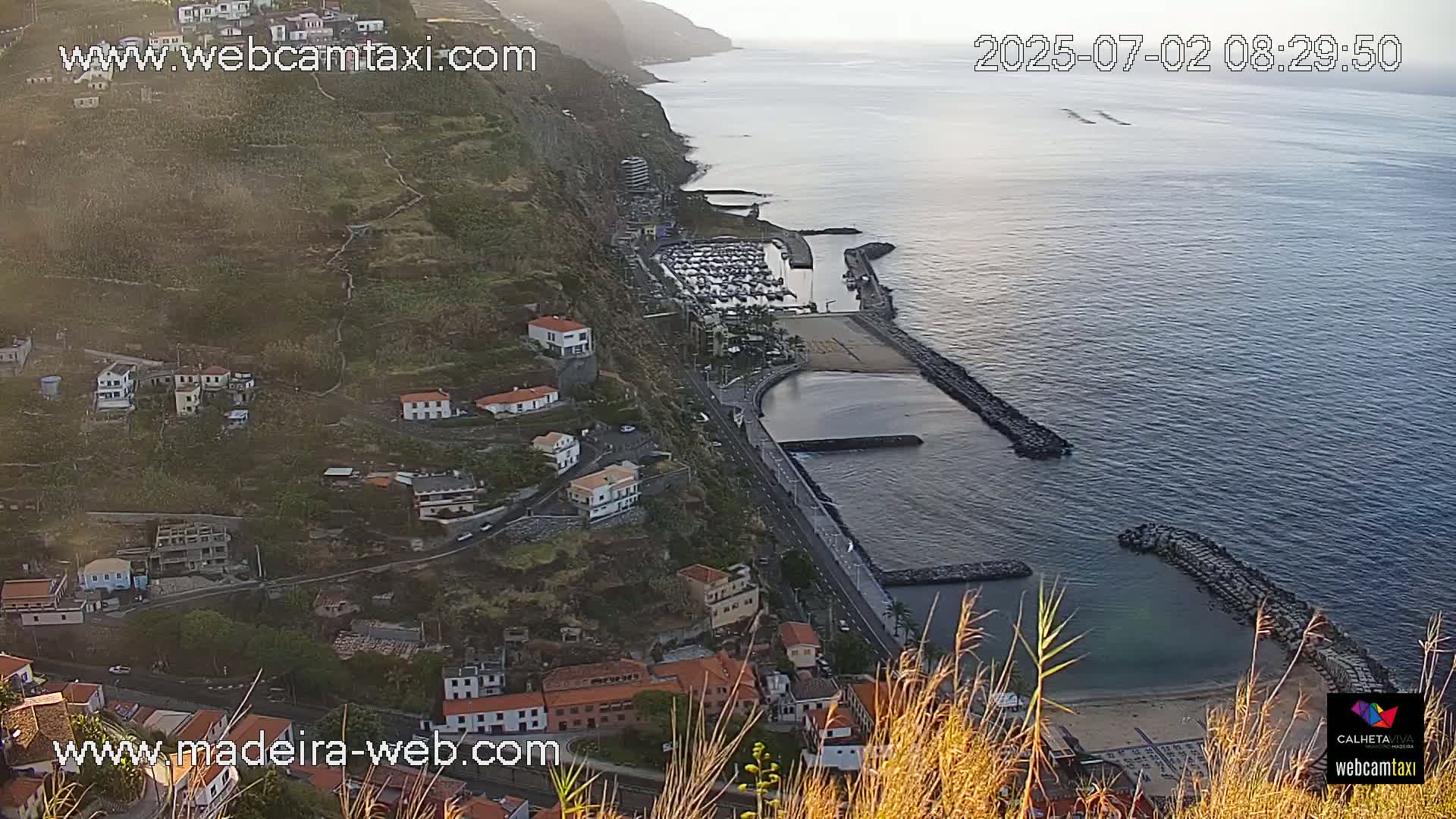 A coastal town nestled on a steep hillside overlooks a calm ocean harbor filled with boats, under a bright, clear sky.