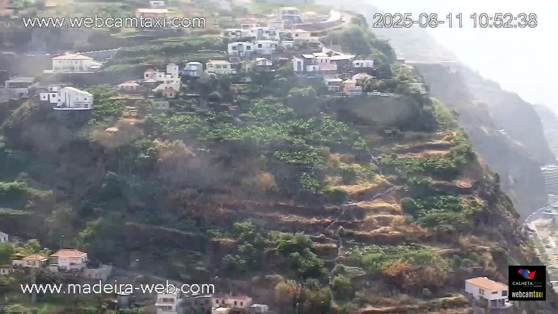 Calheta City & Coast Skyline PTZ Live Cam – Calheta, Madeira, Portugal