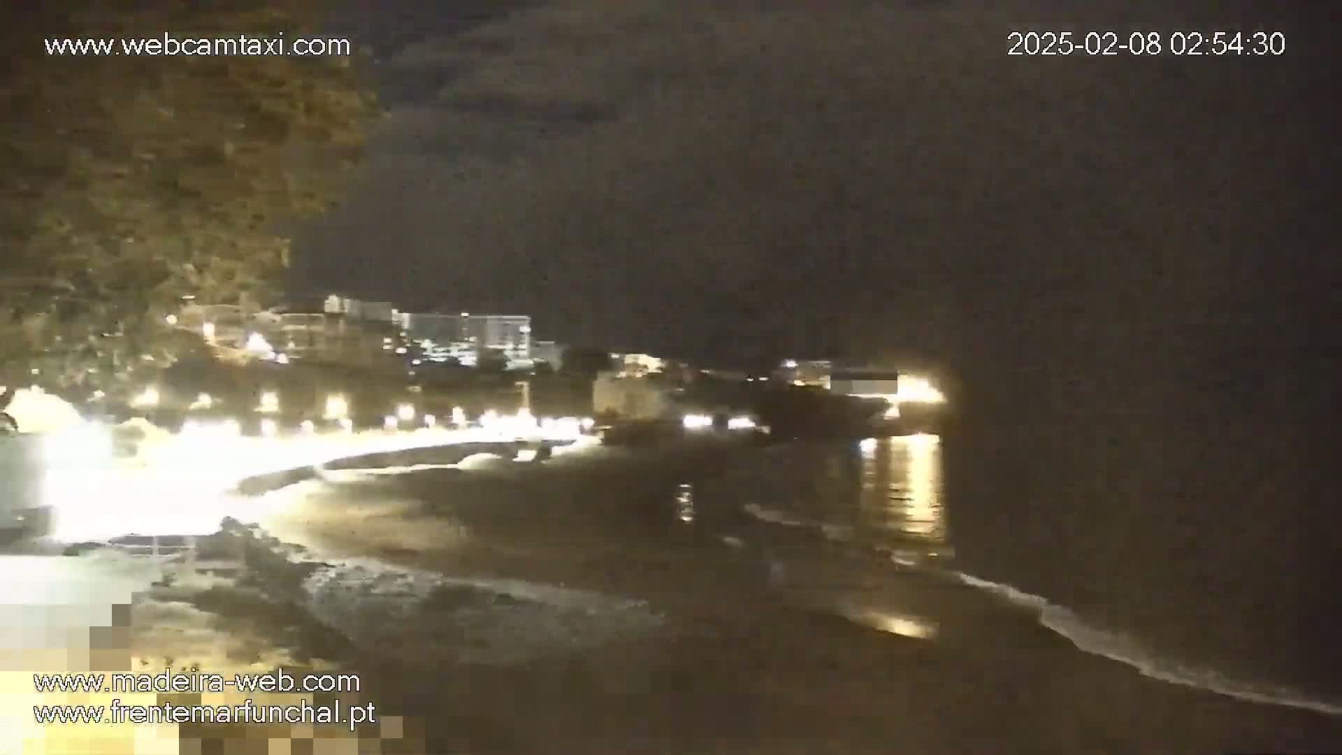 A nighttime view of a beach with calm waves, illuminated buildings in the background, and a tree to the left.