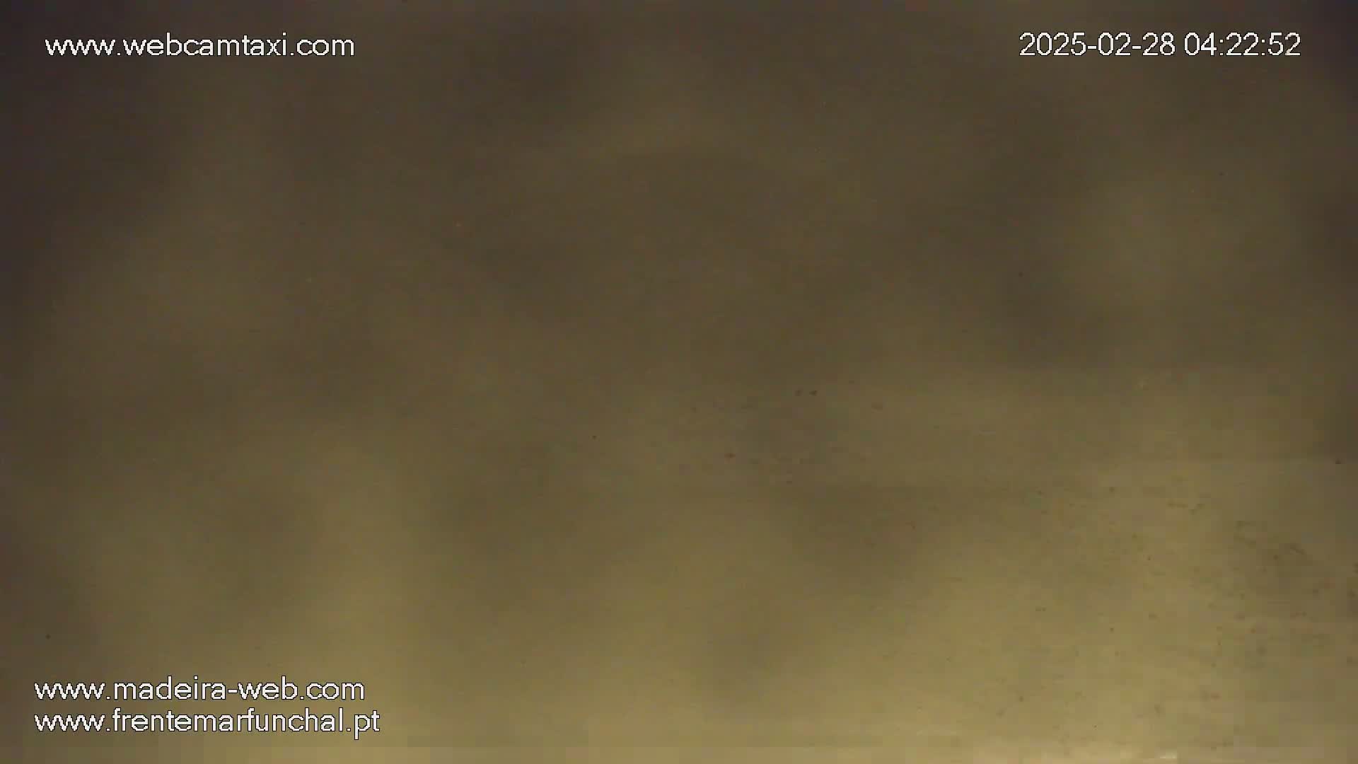 The image shows a blurry, muted olive-green surface.