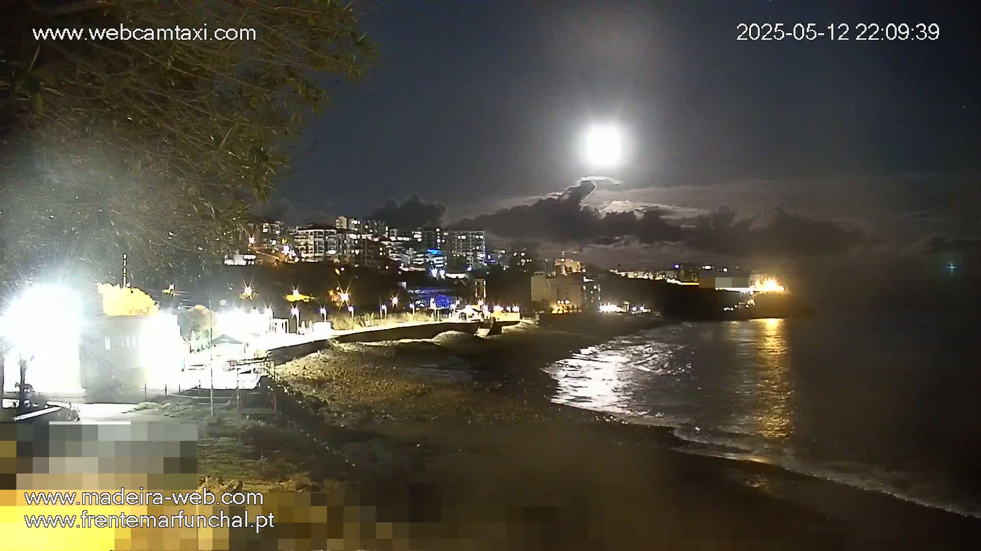 A nighttime coastal scene shows a city skyline across the water under a partly cloudy moonlit sky, with gentle waves lapping a dark sandy shore.