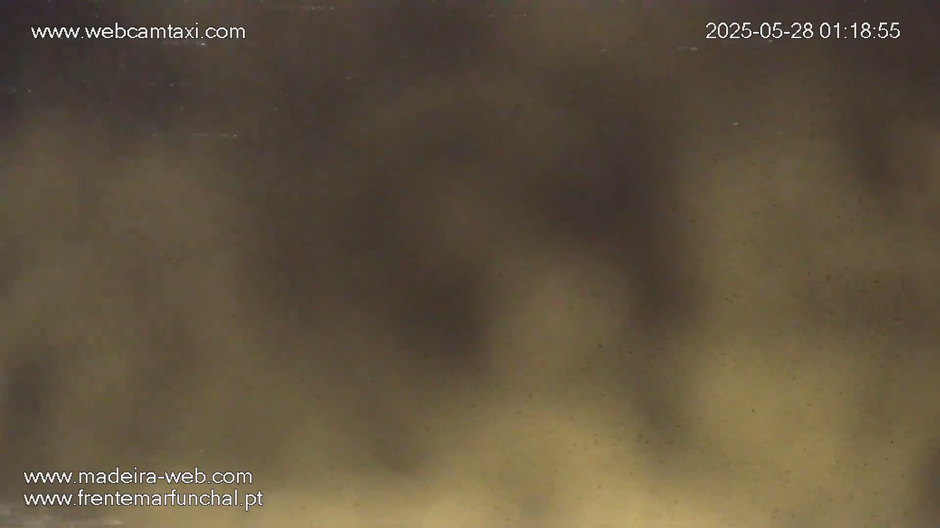 A blurry, dark-tan image shows indistinct shapes and specks, possibly taken at night.