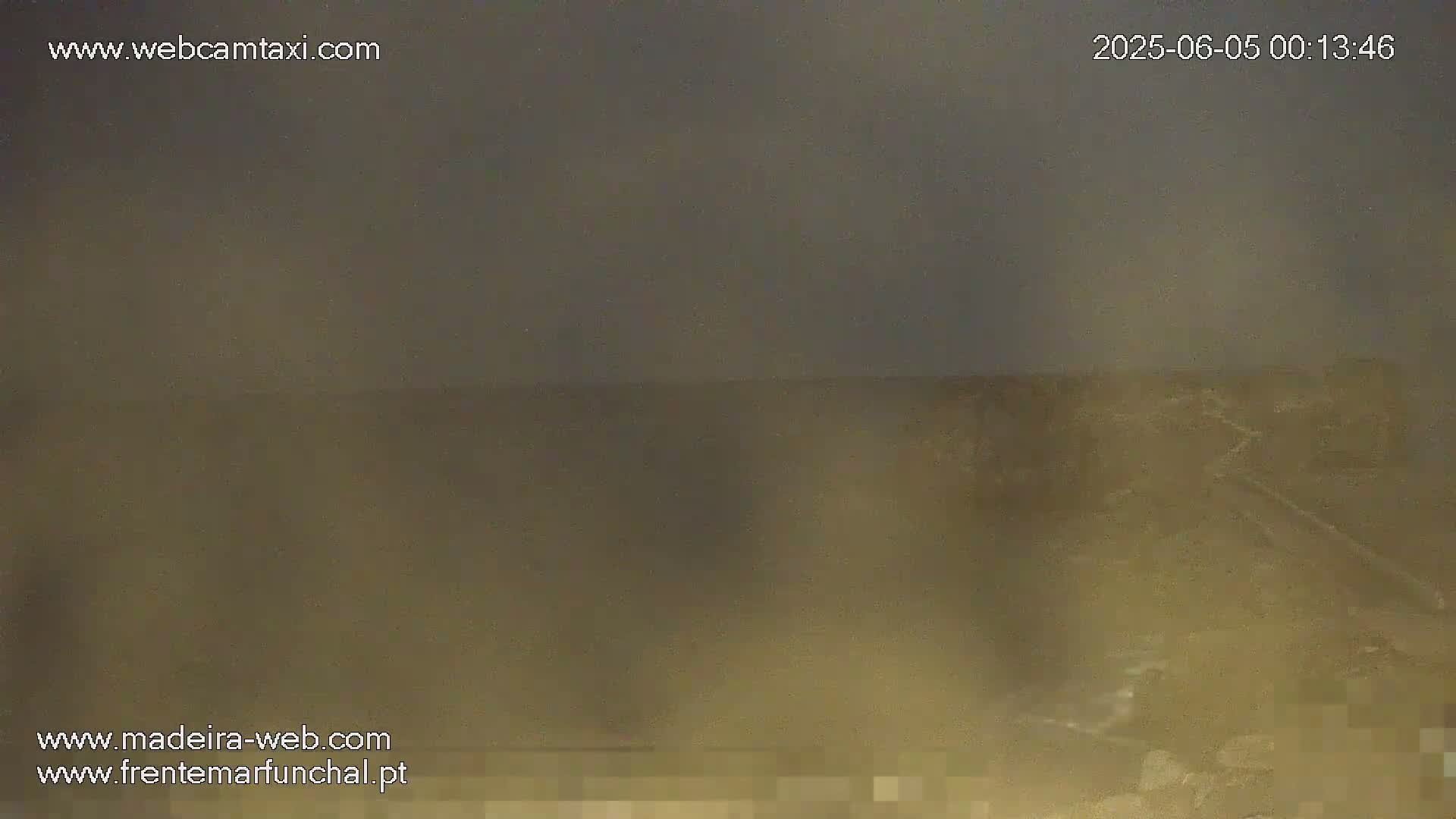 A blurry, dark-brown and tan landscape is visible under an overcast sky.