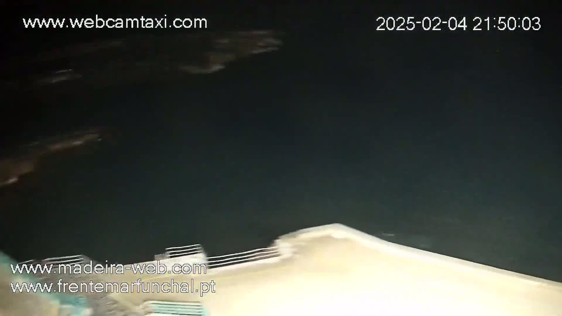 A nighttime, dark-water view shows indistinct shapes in the water near a light-colored surface that appears to be a dock or shoreline.