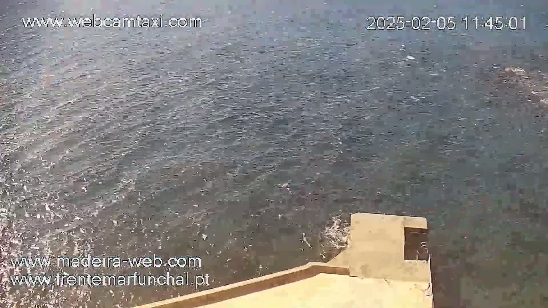A tan concrete structure extends into a body of dark, choppy water.