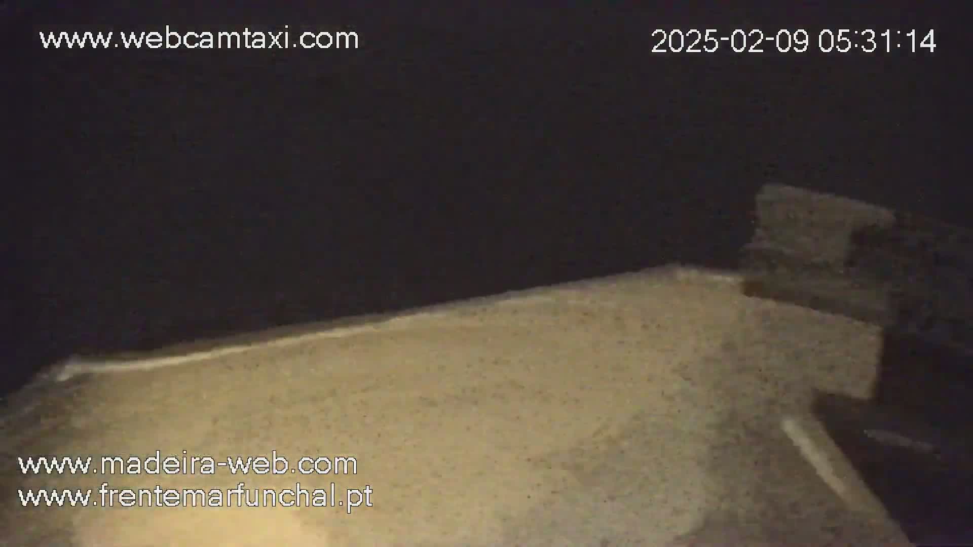 A nighttime, low-light view shows a light-tan surface that appears to be a wall or ground, with a dark background.