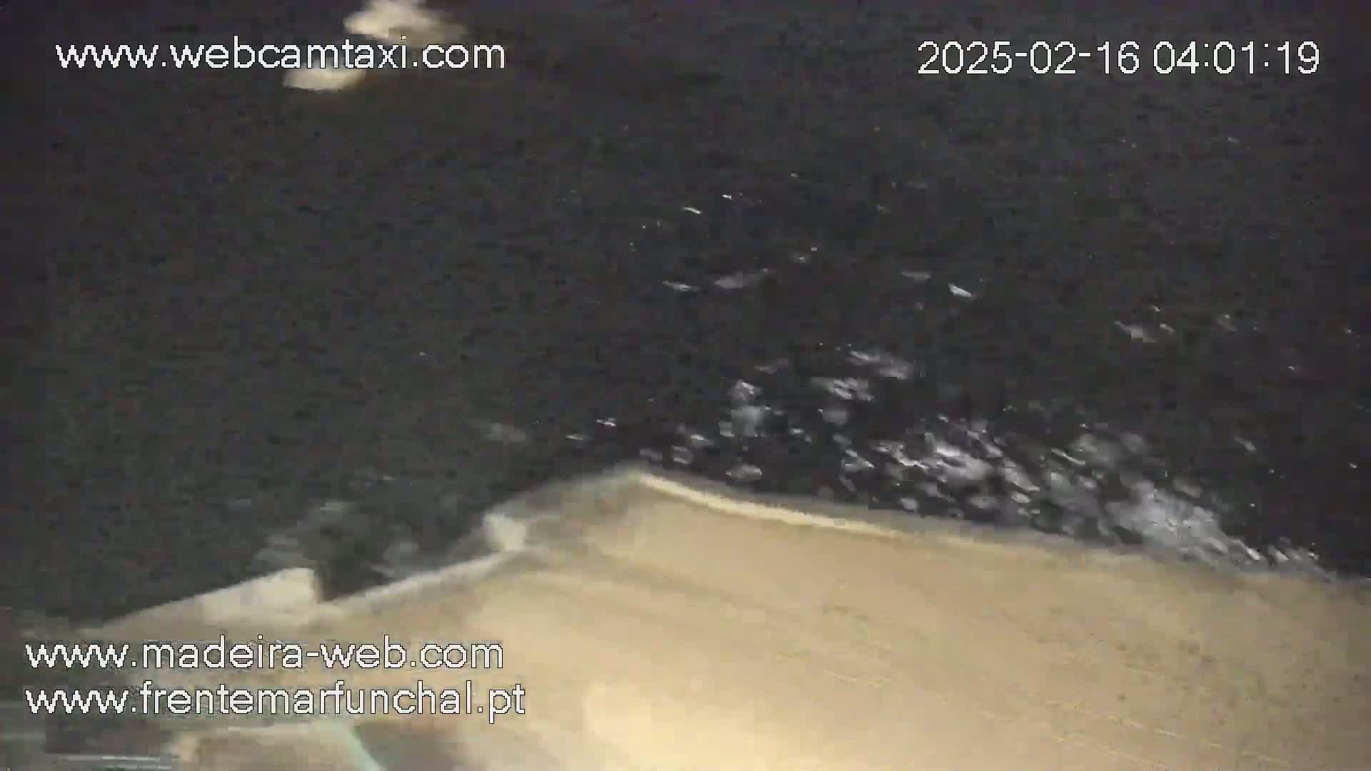 A dark-colored body of water with small waves laps against a light beige sandy shore at night.