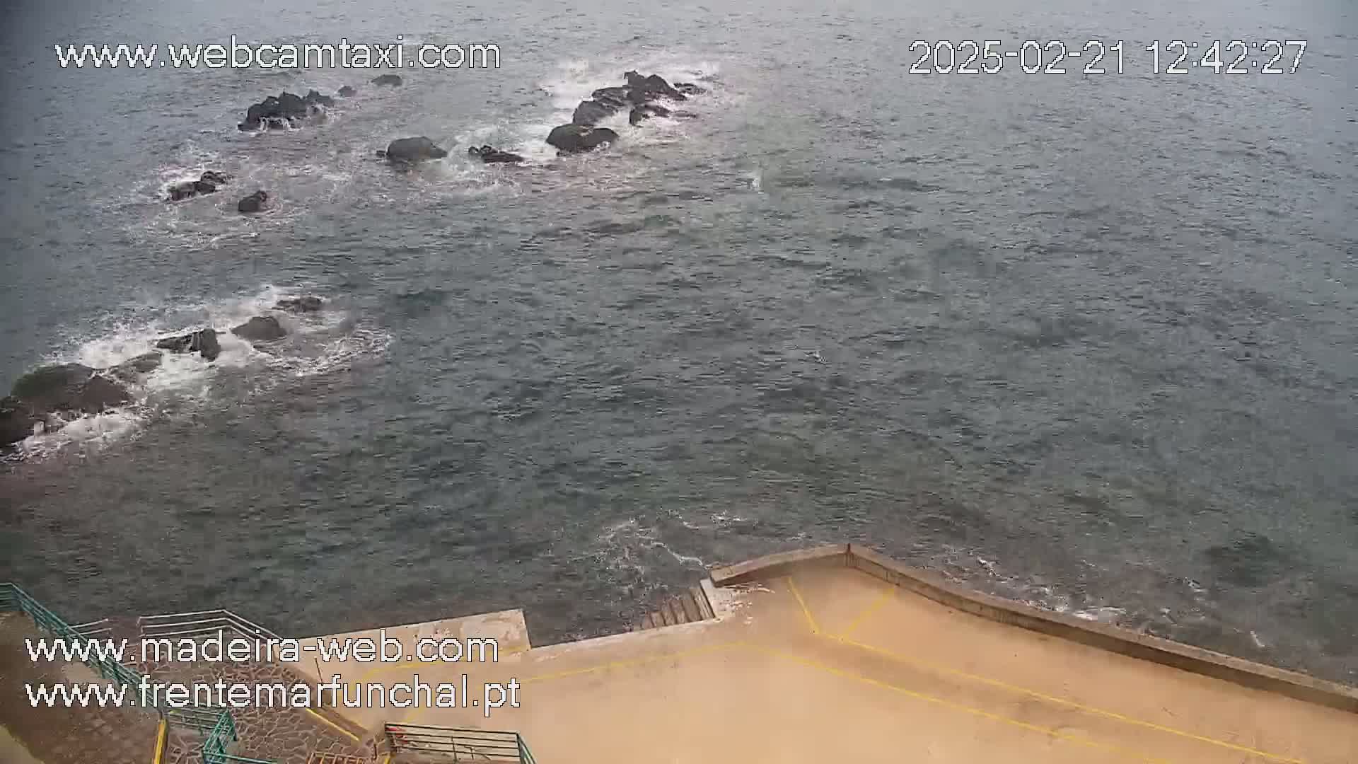 A high-angle view shows dark-grey water with small waves lapping against dark rocks and a concrete seawall.