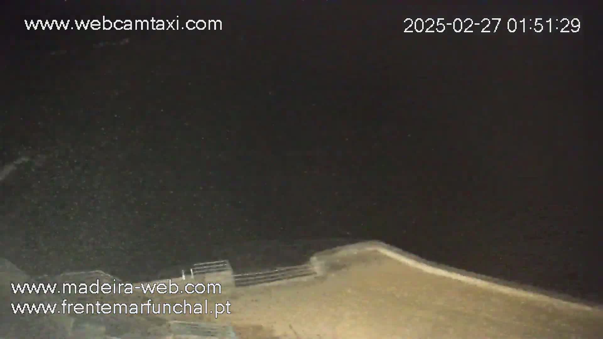 A nighttime view of a dark body of water meeting a light-colored shoreline.