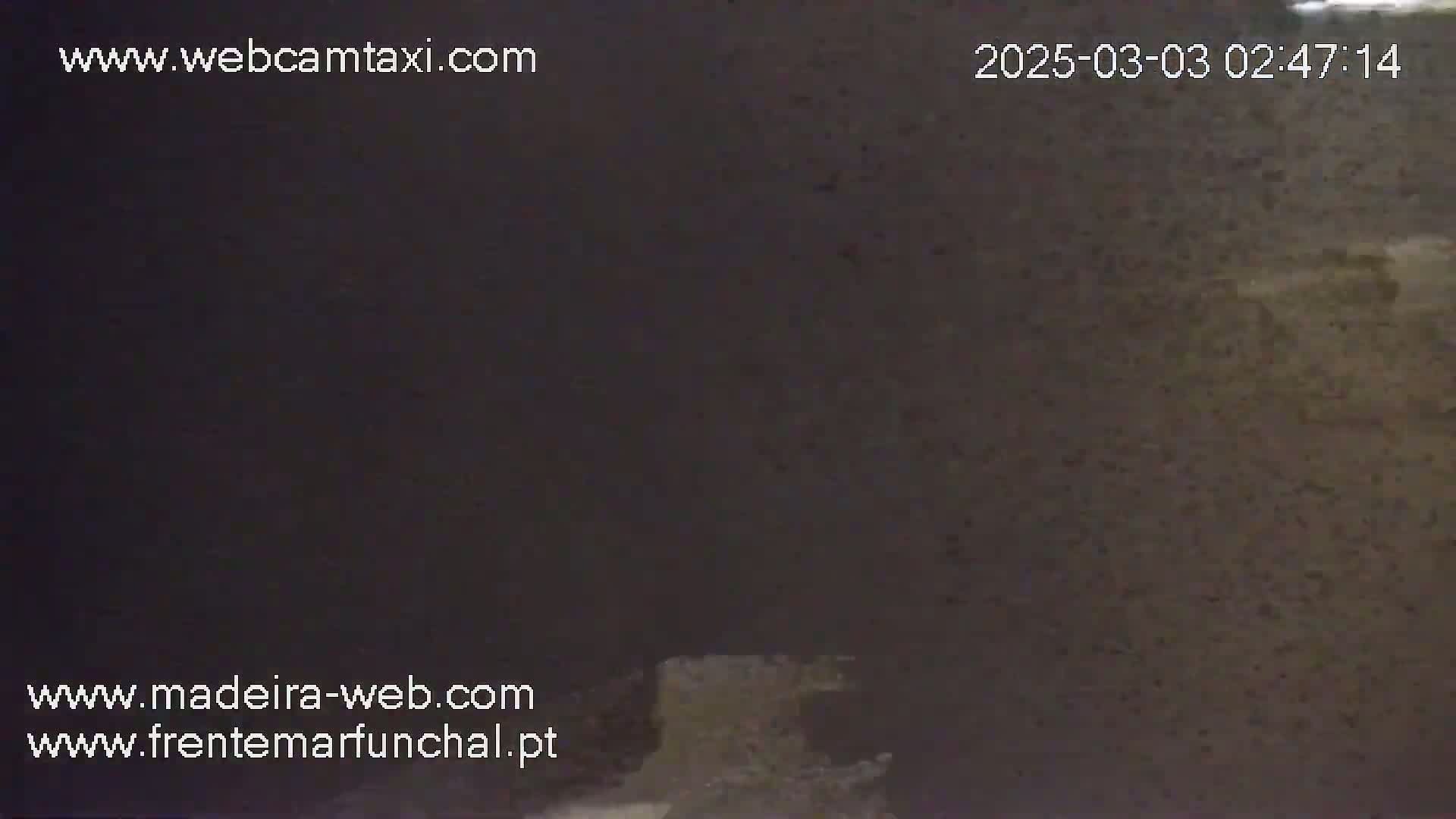A dark, blurry image shows a mostly indistinct, possibly outdoor, scene at night.