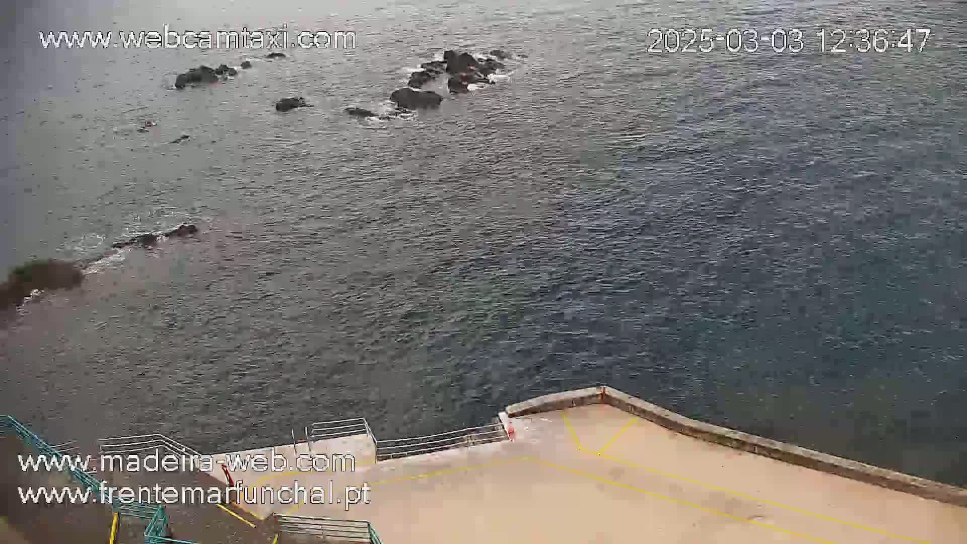 A high-angle view shows dark-colored water lapping against a tan cement shoreline with a metal railing, and dark rocks jutting out from the water.