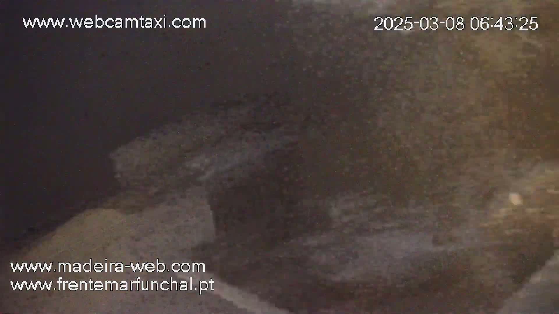 A blurry, dark image shows a mostly obscured scene, possibly outdoors in low-light conditions.