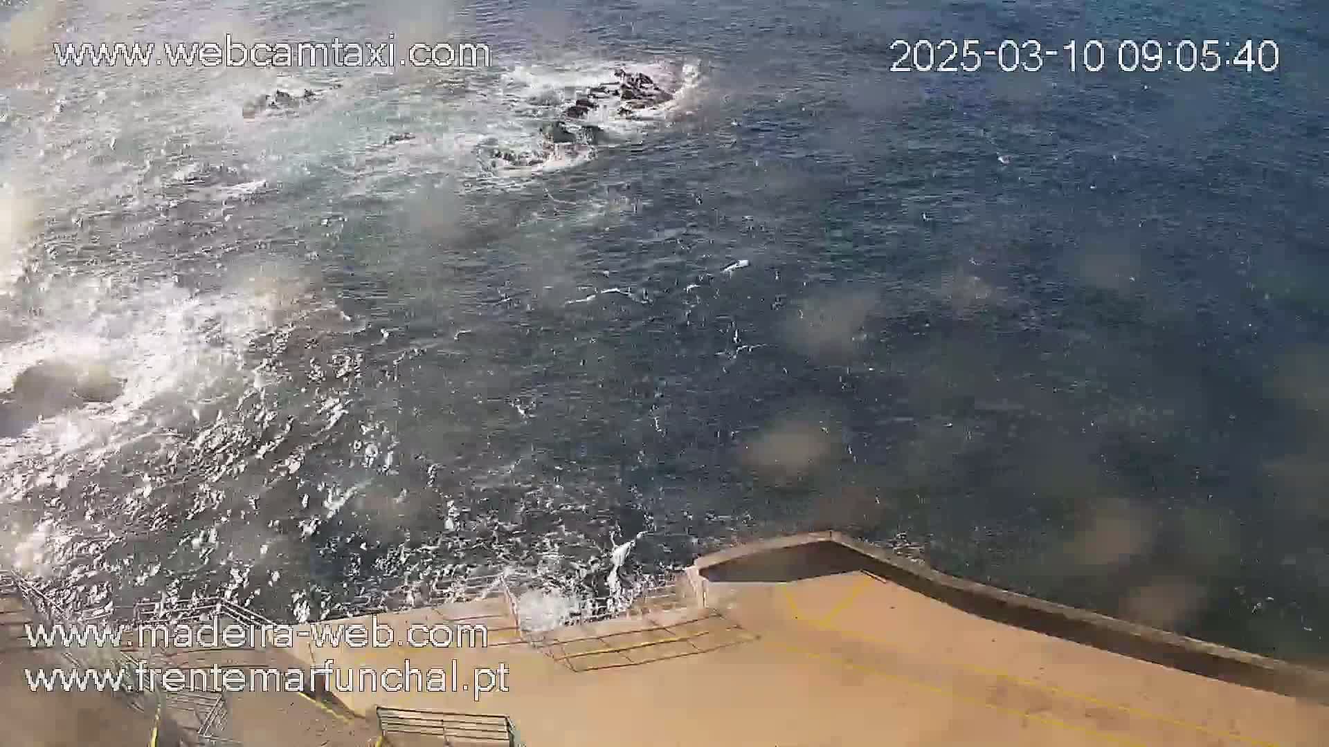 Ocean waves crash against a rocky shore next to a paved area with metal railings.