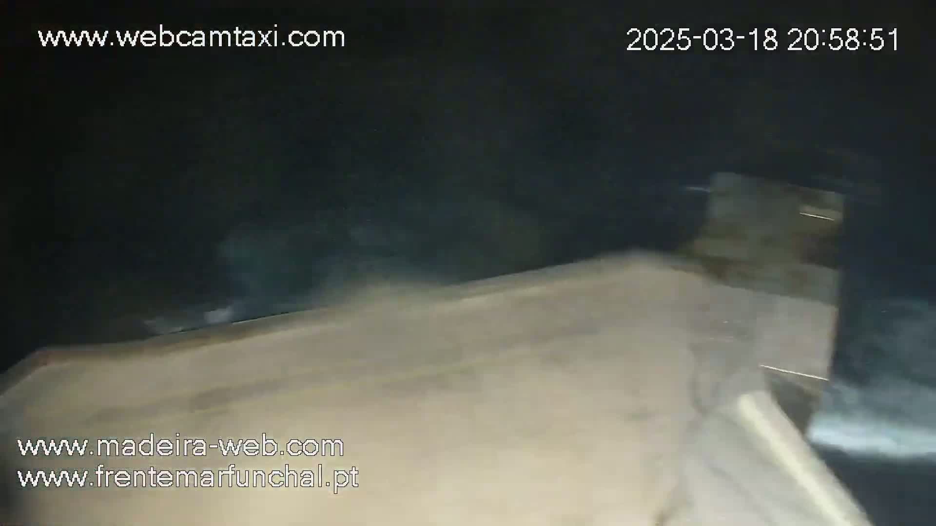 A blurry, nighttime image shows a tan surface with dark shapes moving across it.