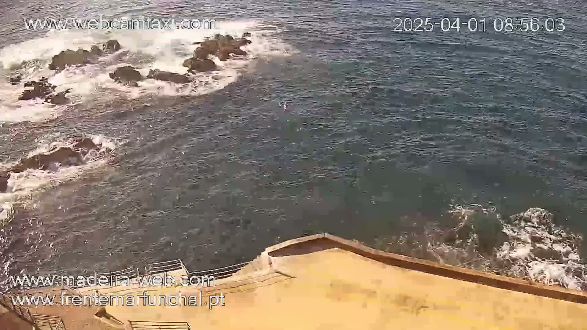 A rocky coast with waves crashing against it is seen from an elevated vantage point, overlooking a calm ocean.