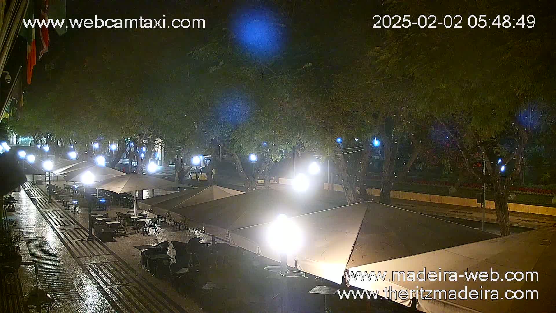 A nighttime view of a wet, outdoor cafe area with several umbrellas and tables under illuminated trees along a street.