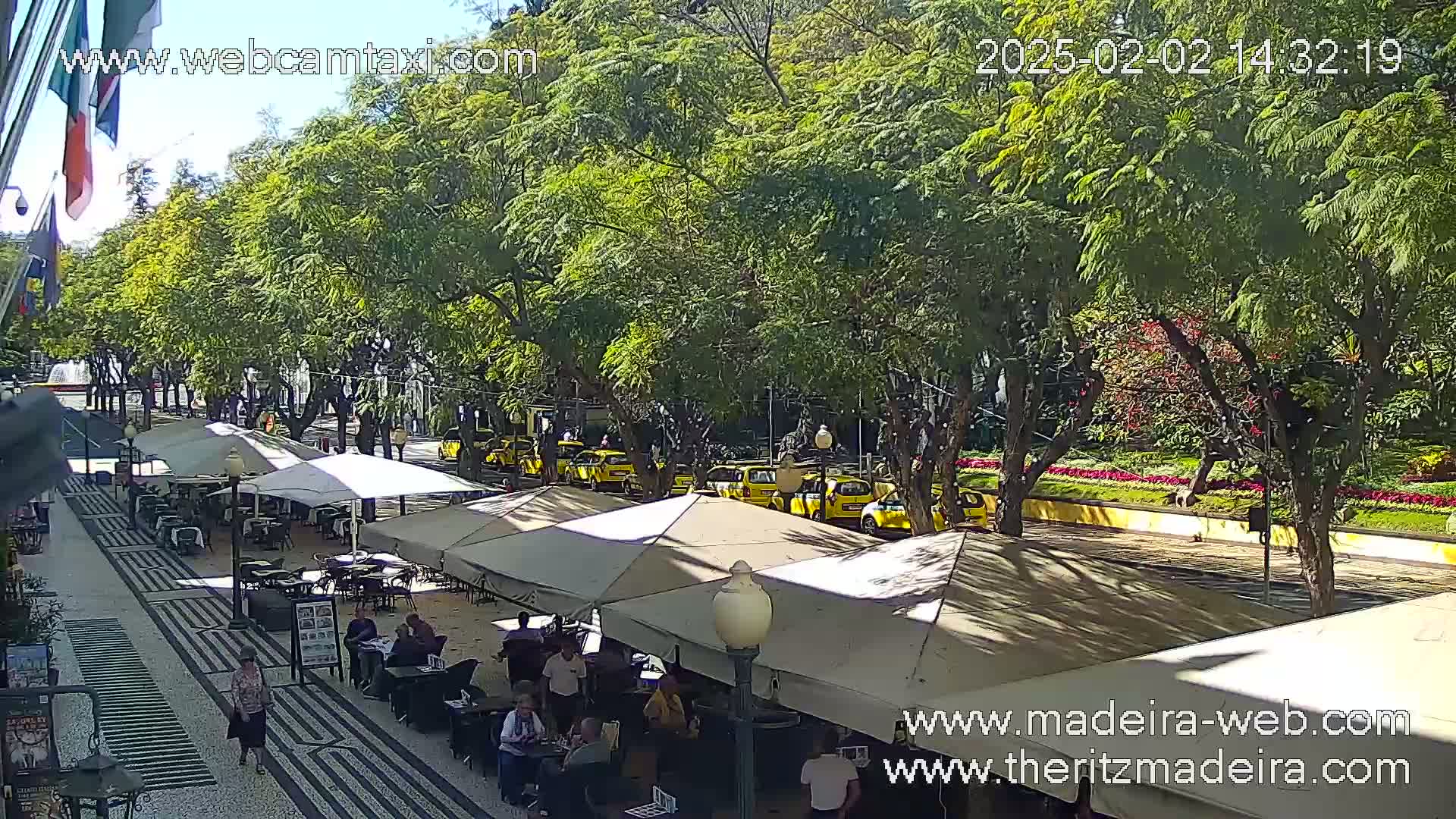 A sunny outdoor cafe scene with several yellow cars parked along a tree-lined street.