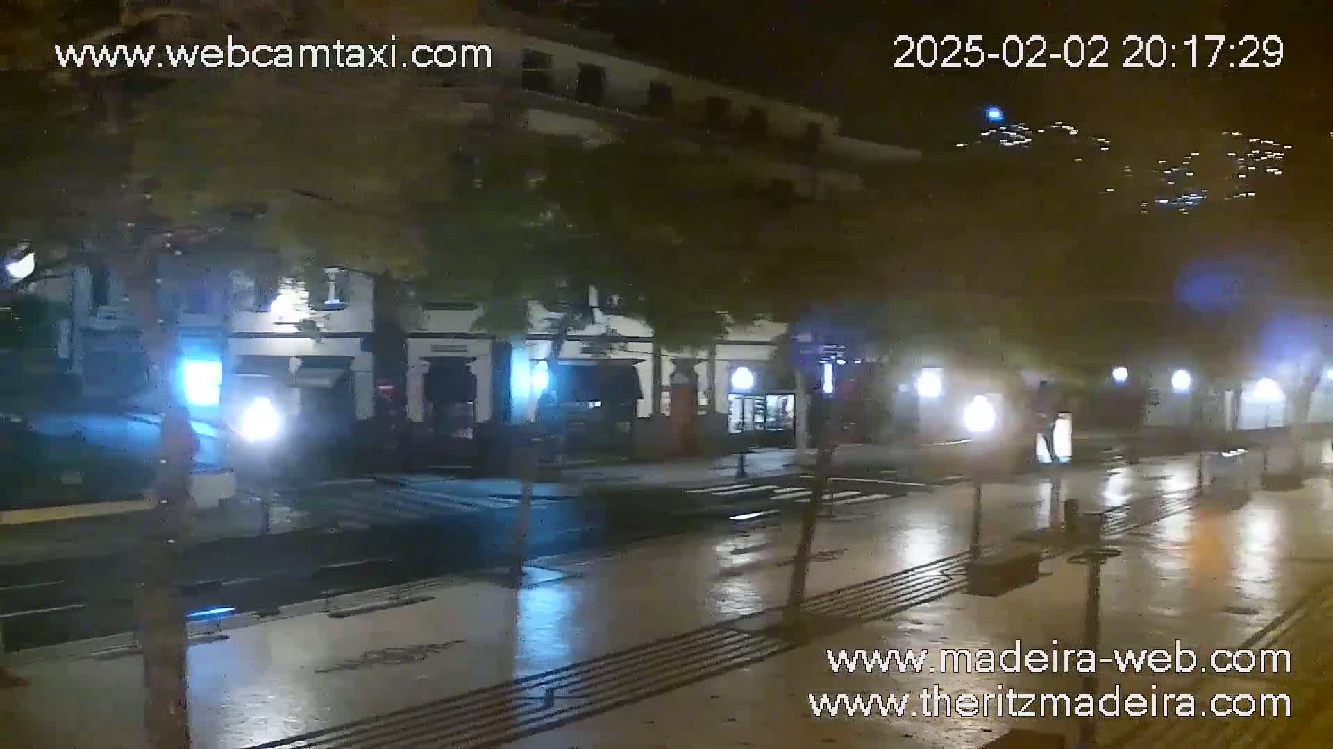 A wet, nighttime street scene shows a row of buildings with illuminated storefronts, streetlights reflecting on the pavement, and trees lining the sidewalks.