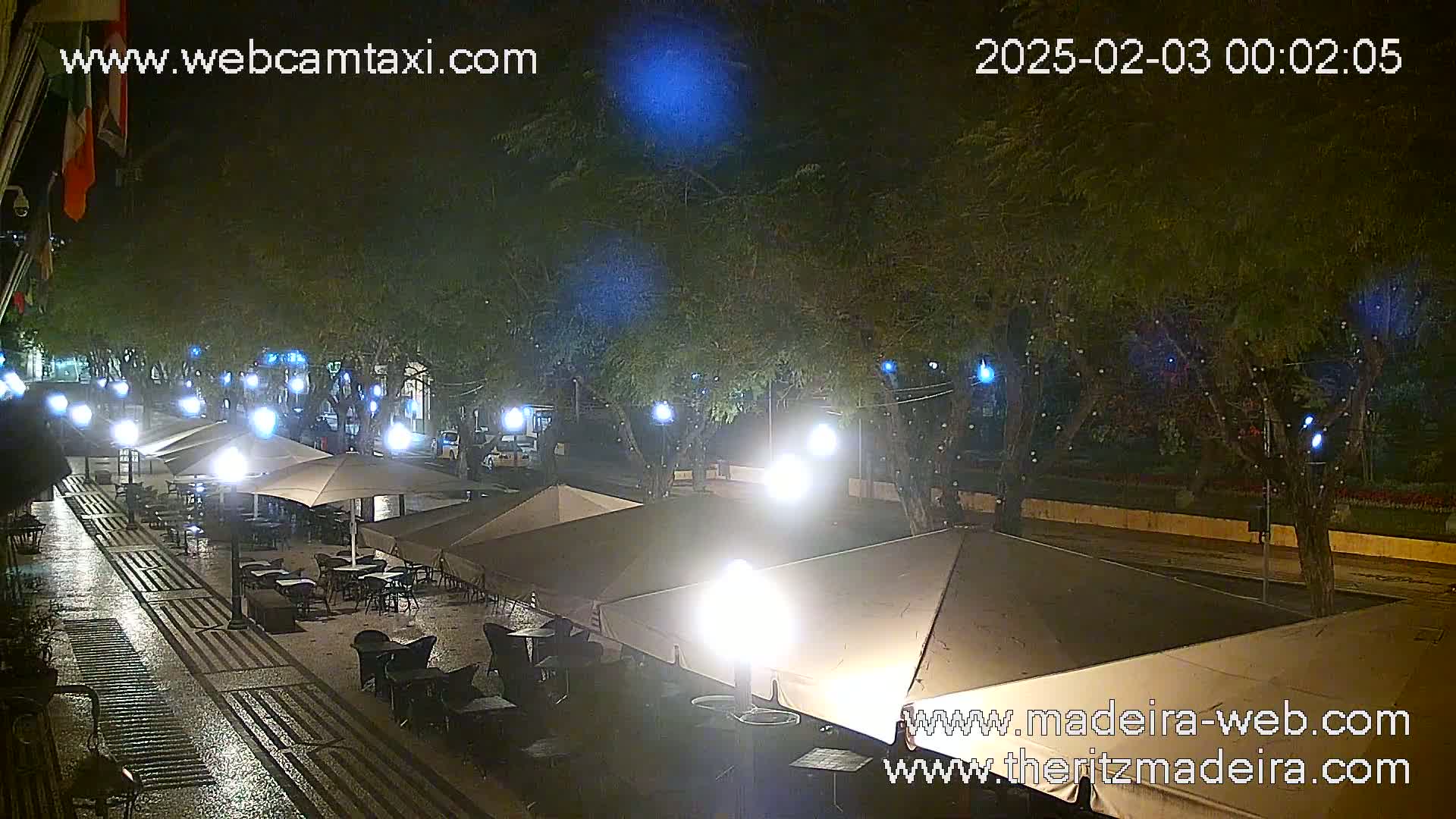 A wet, nighttime street scene shows several outdoor cafe umbrellas set up along a sidewalk under illuminated trees.