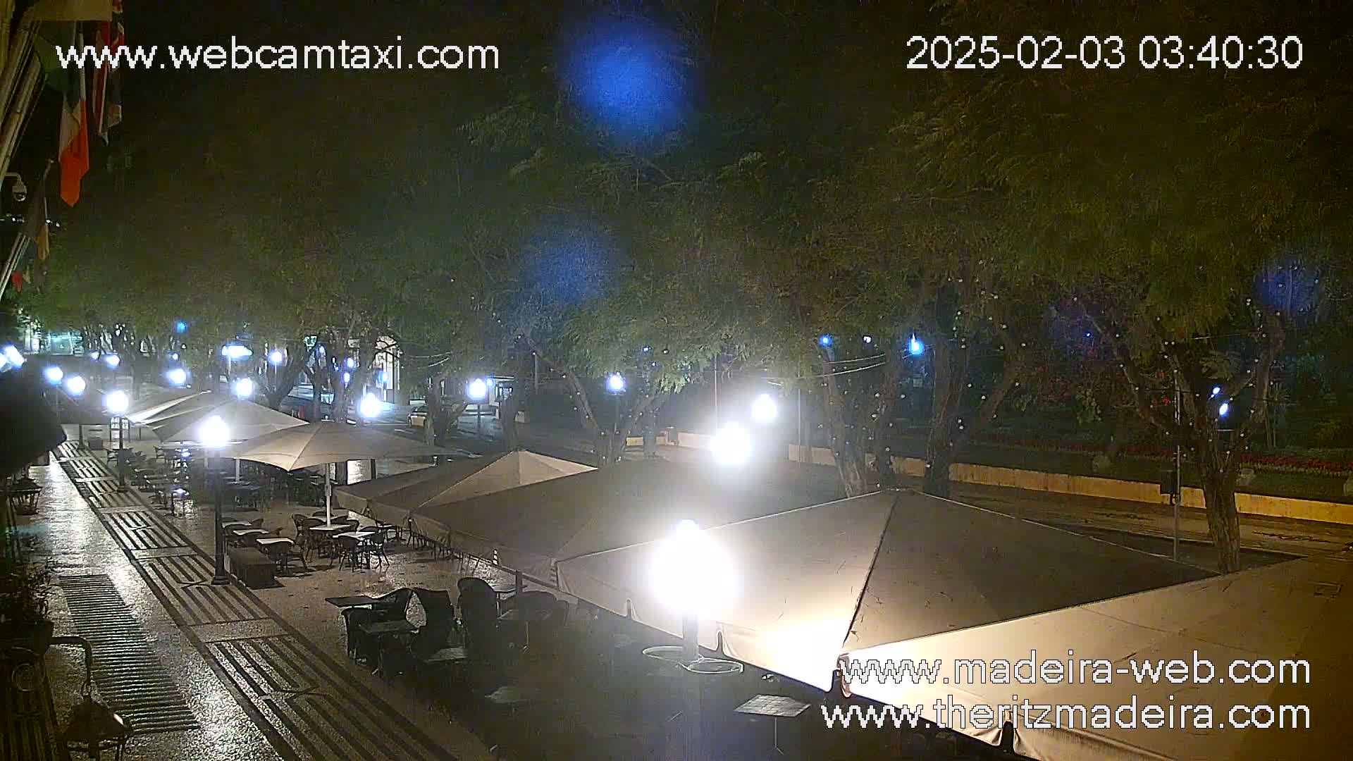 A rain-slicked, nighttime street scene shows several outdoor café areas with tan umbrellas and tables under illuminated trees.