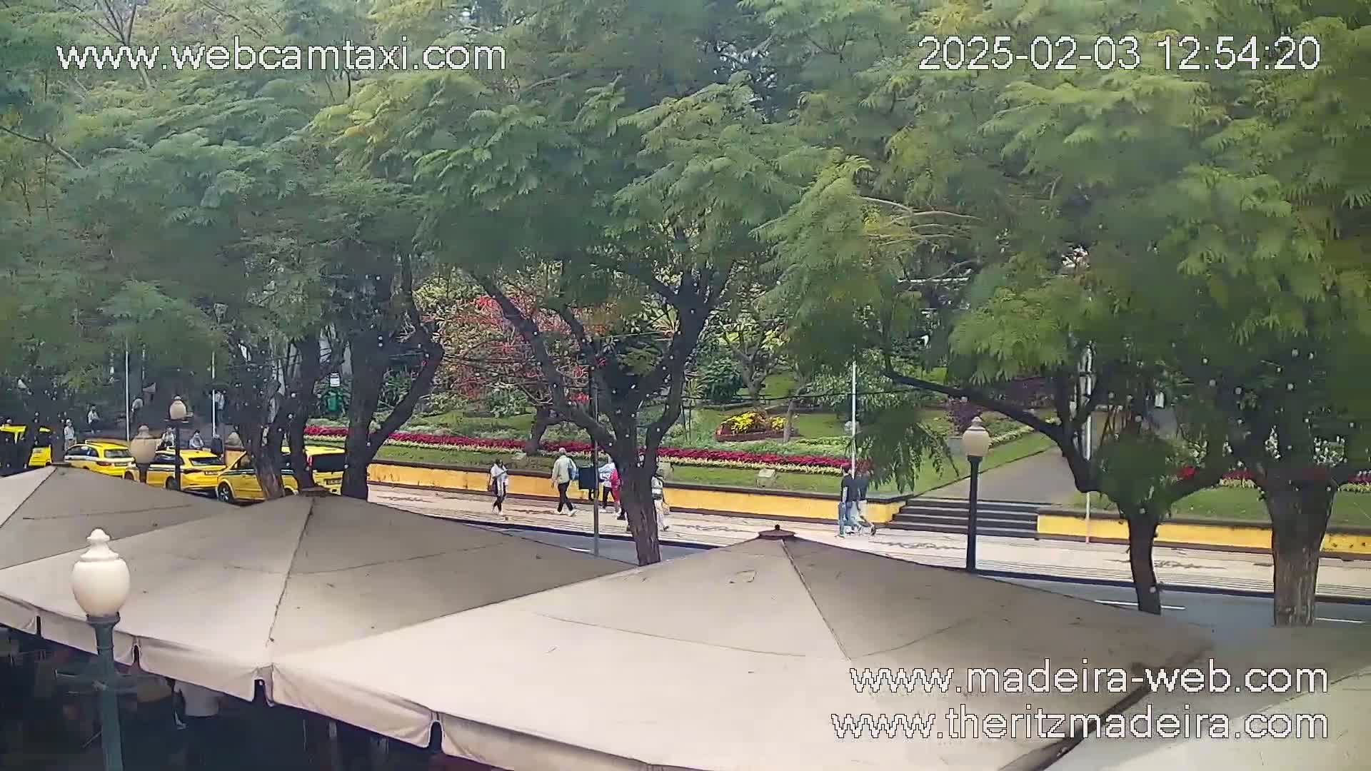 Several yellow taxis are parked along a street lined with trees and flowering gardens, with pedestrians walking nearby on an overcast day.
