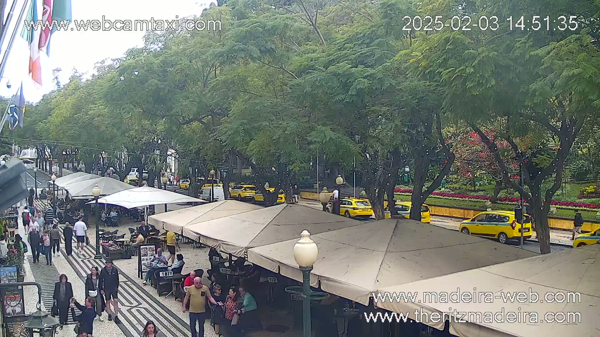 A city street scene shows people sitting at outdoor cafes under beige umbrellas, lined along a pedestrian walkway next to a roadway with yellow taxis parked and driving past lush green trees under an overcast sky.