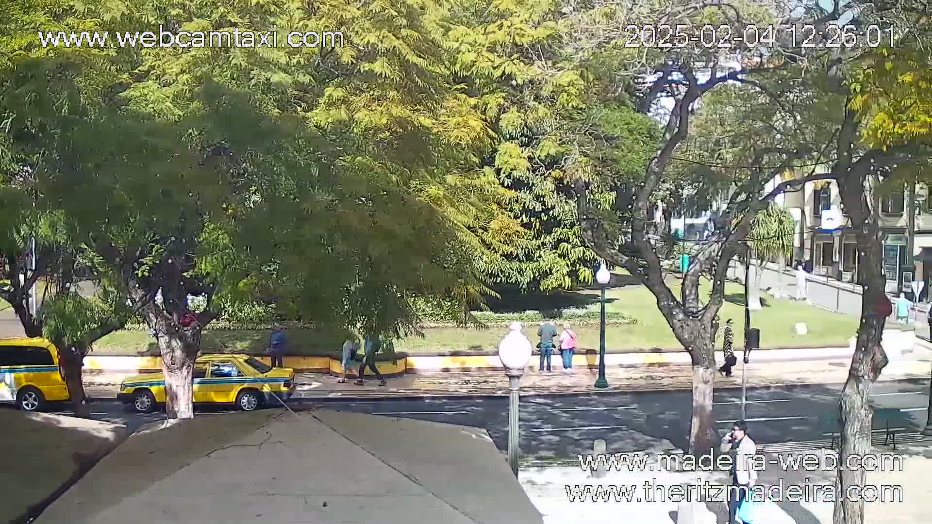 A sunny street scene shows two yellow taxis parked near a grassy area with several pedestrians and trees, and a few buildings are visible in the background.