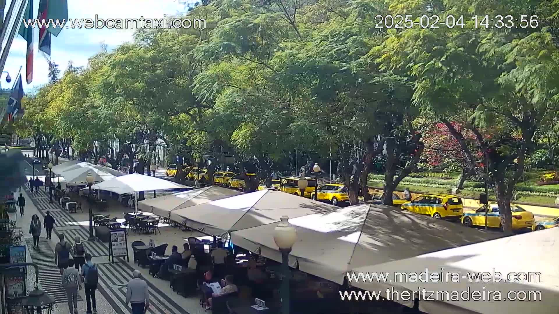 A sunny day reveals a tree-lined street with outdoor cafe seating and a row of yellow taxis parked along the curb.