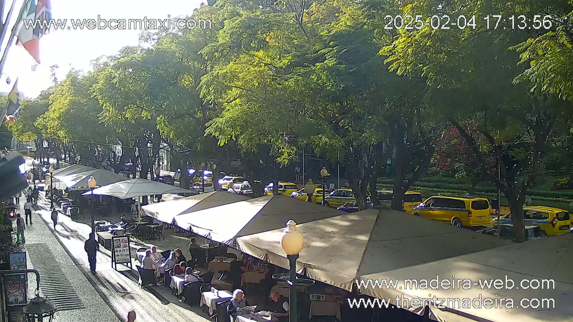 A sunny day shows an outdoor cafe with patrons sitting at tables under several beige umbrellas, alongside a street with yellow taxis and green trees.