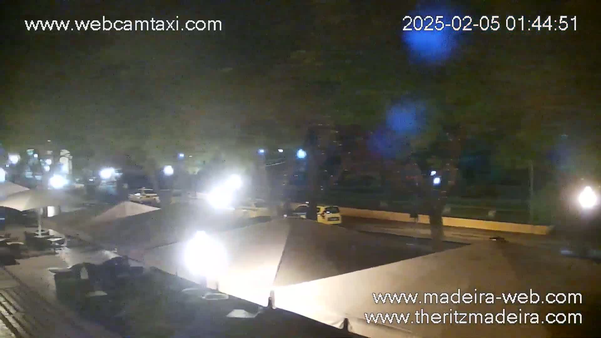 A nighttime view of a street with several cars and a row of closed outdoor umbrellas.